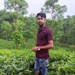 Md Sumon Hassan Profile Picture