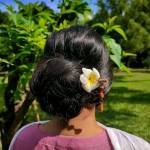 Lima Lima Profile Picture