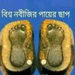 Samima Khan Profile Picture