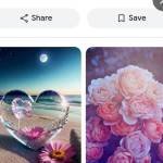 Limon 147z Profile Picture