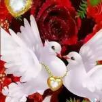 Nazrul Bangladesh Profile Picture