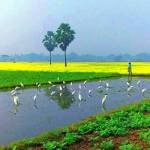 Md Nazmul Hossain Profile Picture