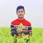 amitroy550 Profile Picture