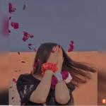 Lot Lote Profile Picture