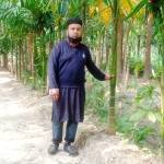 Masud Alum Profile Picture