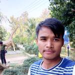 Saiyo tripura Profile Picture