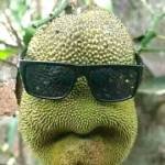 Raja N Profile Picture