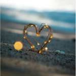 tutul N Profile Picture