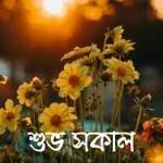 Monir Hossain Profile Picture