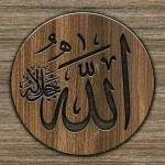 Farokul islam Farokul islam Profile Picture