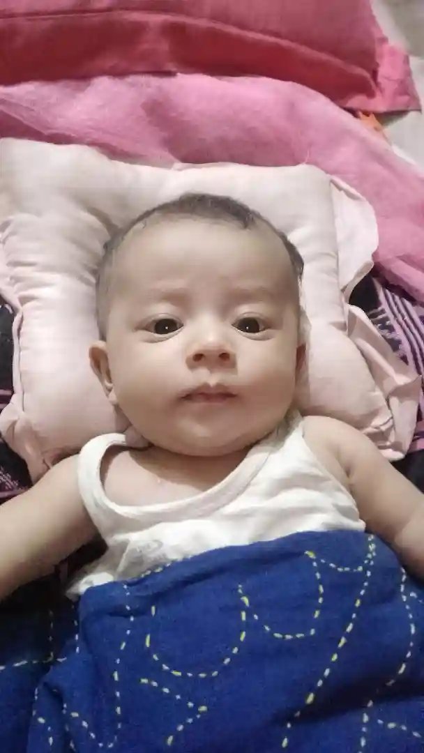 Alif44 Profile Picture