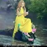 masum459 Profile Picture
