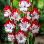 T. M. Paltu Profile Picture