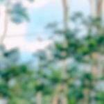 M Shahidul Islam Profile Picture