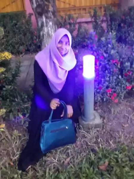 Shahin451 Profile Picture