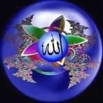 Shahidul Islam Profile Picture
