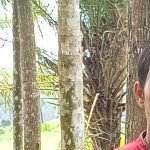 MdTamimhossain Tamim Profile Picture