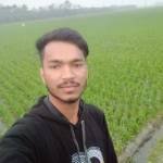 Md Limon Profile Picture
