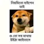 Rafiya Ahmmed Profile Picture