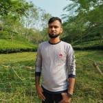 Rashed Alam Profile Picture