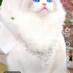 Md Faruk Profile Picture