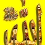 Monir009 Profile Picture
