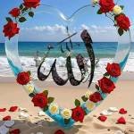 Asraful007 Profile Picture