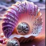 Dr Jannat Zohan Profile Picture