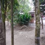 Mdseyam Islam Profile Picture