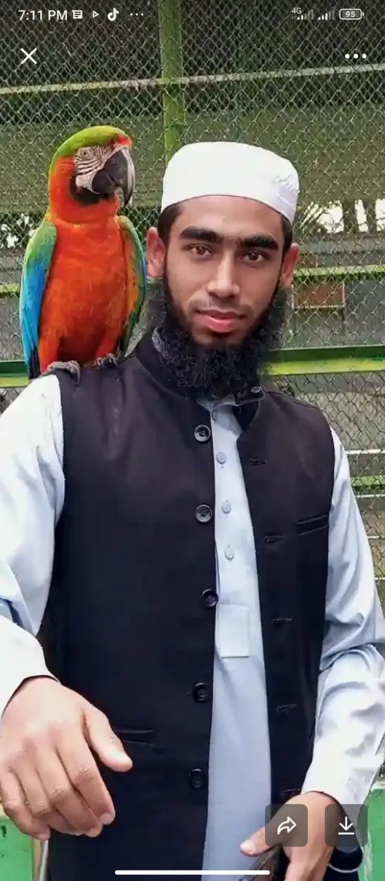 Md Jonaed Profile Picture