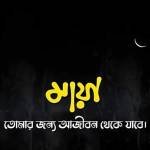 Milon Begum Profile Picture