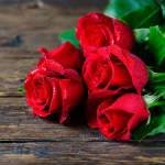 Zahidul Islam Profile Picture