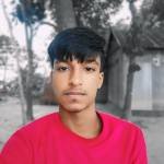 hamid2364 Profile Picture