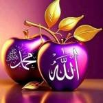 Faruk siddik Profile Picture