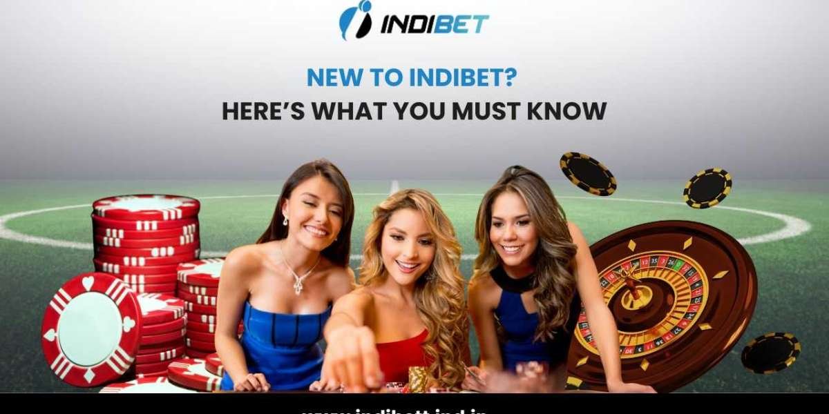 New to Indibet? Here’s What You Must Know