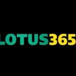 lotus365 live Profile Picture