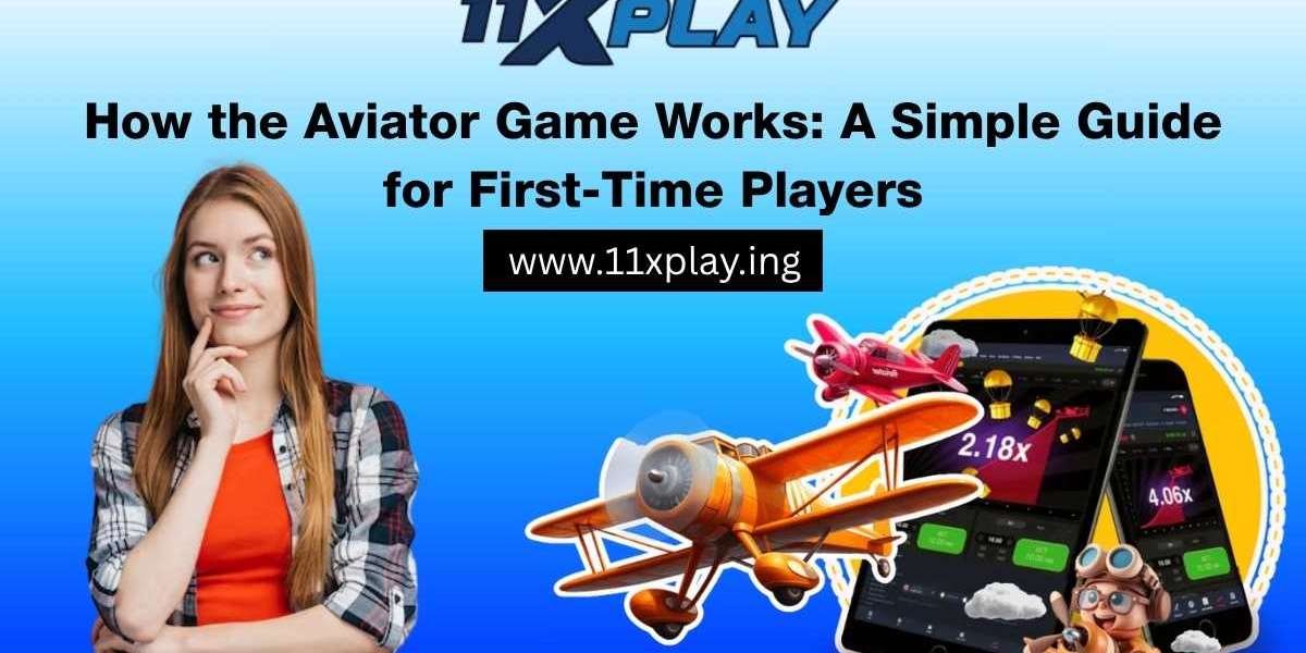 How the Aviator Game Works: A Simple Guide for First-Time Players