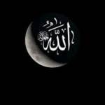 sadia   Profile Picture