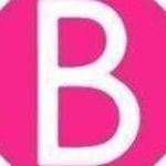 B Chic Fashions Fashions Profile Picture